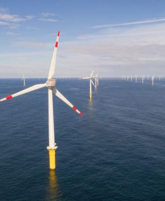 ijmuiden ver alpha